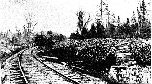 Le Chemin De Fer Du Lac Saint-Jean/Xvi. – Wikisource intérieur Le Chemin De Fer Engage