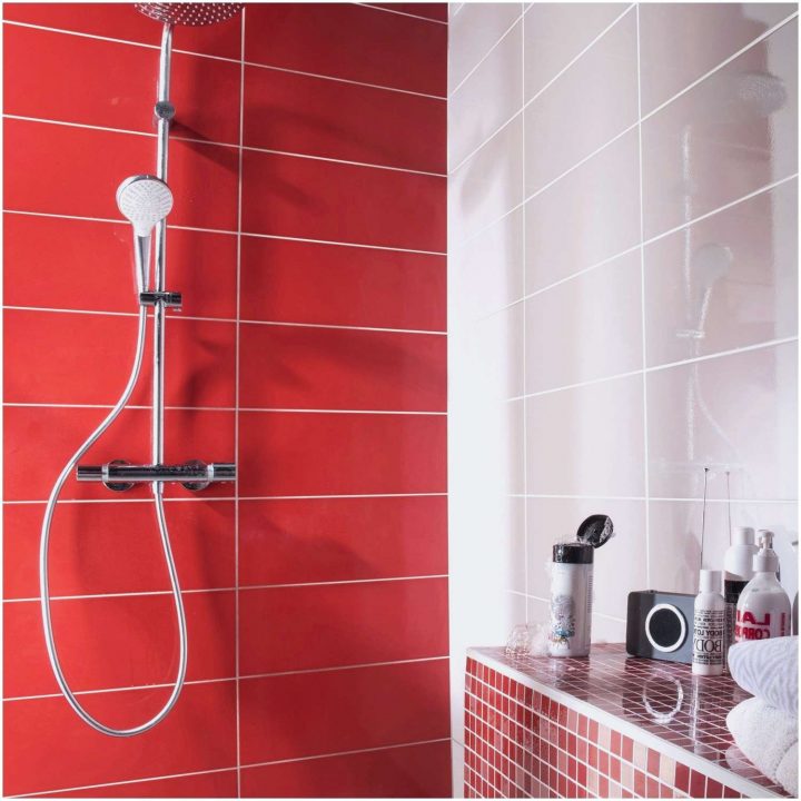 Carrelage Bricodepot | Venus Et Judes intérieur Douche Modulacolor