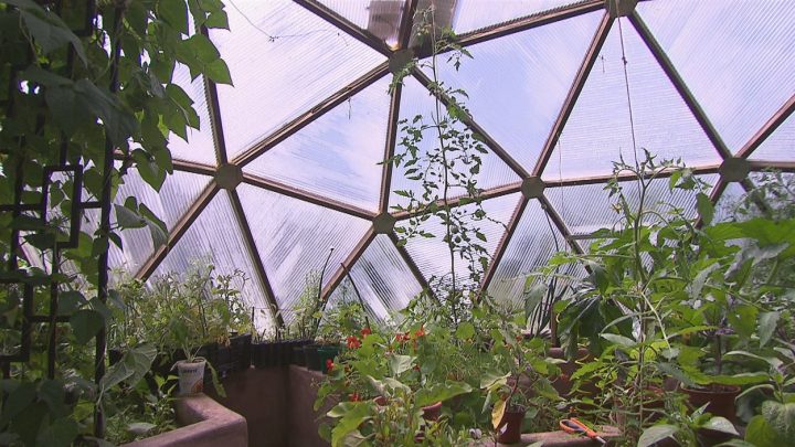 Faire Pousser Ses Propres Légumes À L'Année Presque Sans dedans Serre Intérieur Canadian Tire