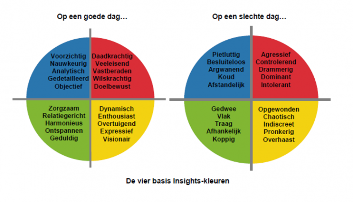 insights discovery modell