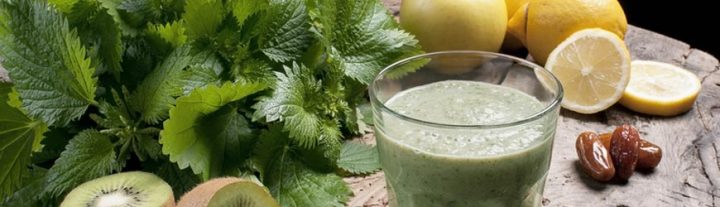 brennnessel smoothie wirkung