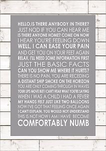 comfortably numb text