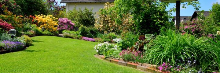 Aménagement De Jardin : Les Meilleurs Conseils | Alexia Tanguy concernant Mon Aménagement Jardin