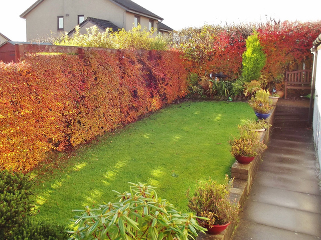 Amenagement Jardin Tout En Longueur – Le Spécialiste De La pour Mon Aménagement Jardin