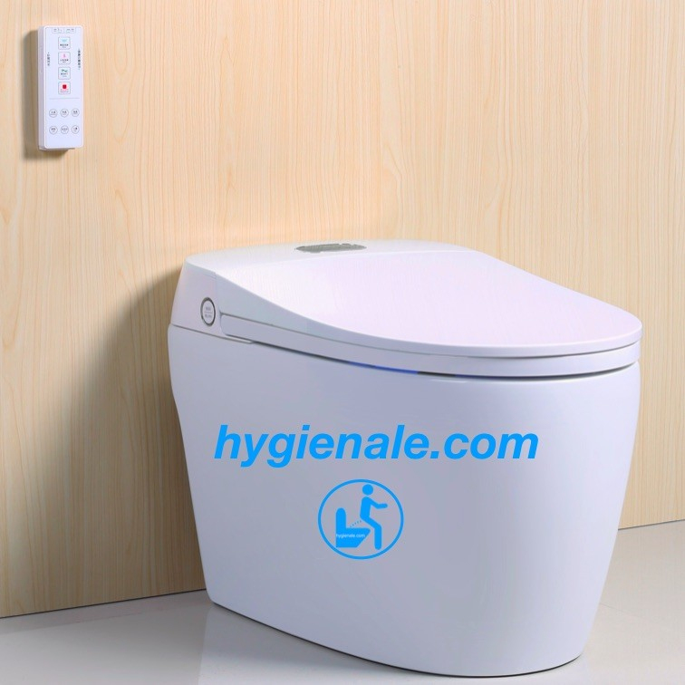 Bloc Wc Japonais : La Technologie Du Bidet Intégré Sur avec Toilette Japonaise Geberit