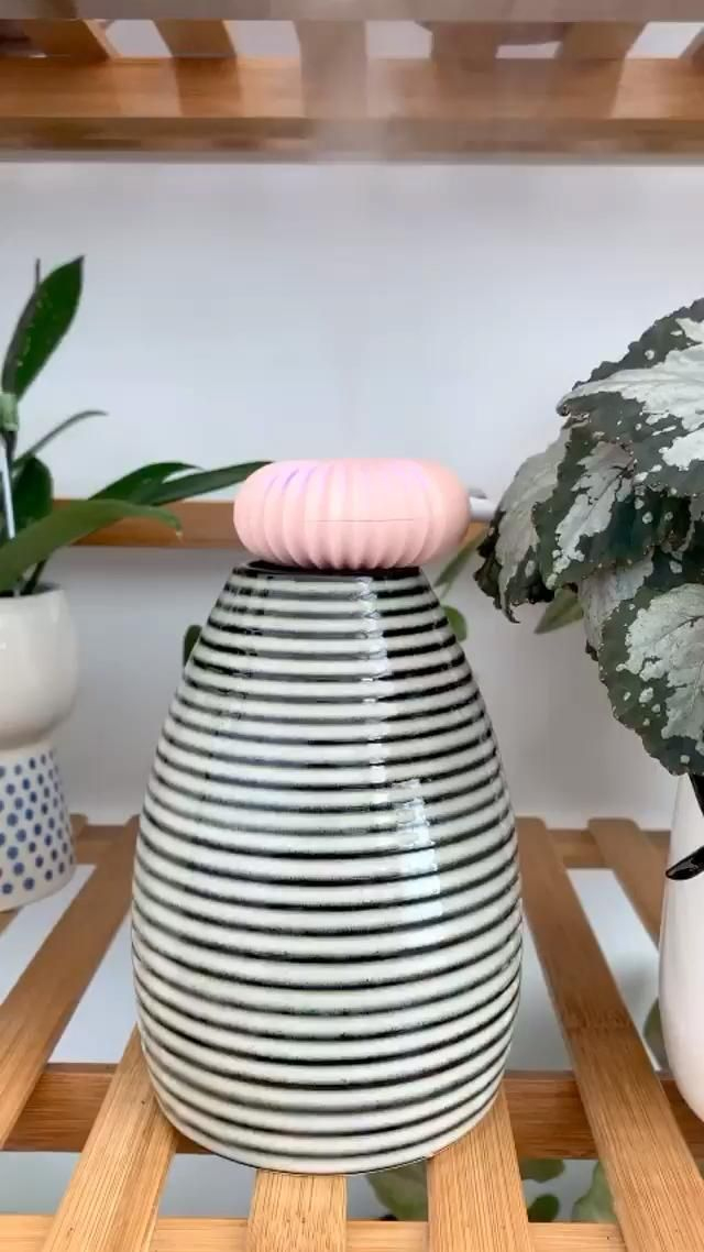 Pink Atmostick [Video] | Hanging Plants, House Plants avec Atmostick