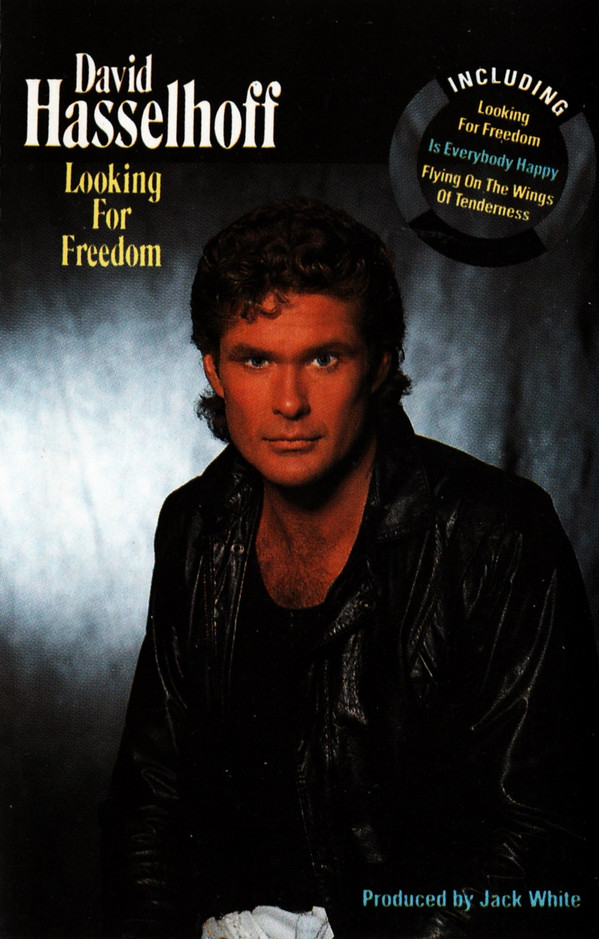 david hasselhoff looking for freedom text