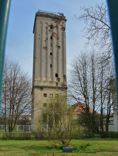 blick über den zaun schulen