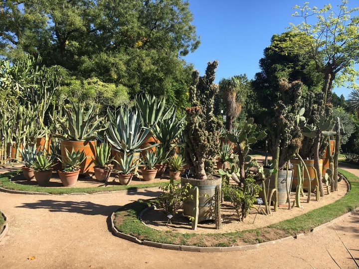 En Route Pour Le Jardin Botanique De Lyon! destiné Jerdin De Lyou Lourdes