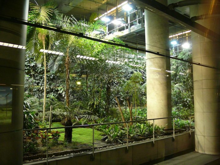 Gare De Lyon 14 Jardin Exotique – Ligne 14 Du Métro De destiné Jerdin De Lyou Lourdes