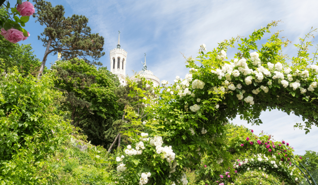 Les Plus Beaux Parcs Et Jardins De Lyon - Lyon Secret encequiconcerne Jerdin De Lyou Lourdes