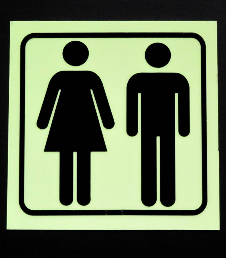 Pictogramme Toilettes H/F – Eldom dedans Signaletique Toillettes Filles