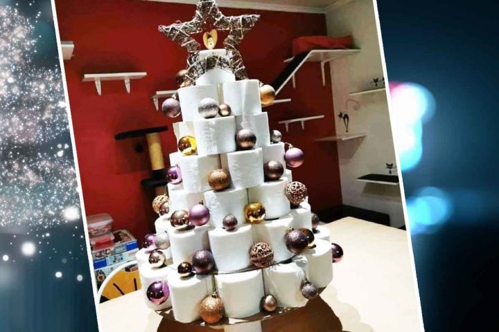 Un Sapin En Rouleau De Papier Wc : Comment S'Occuper concernant Le Trefle Papier Wc&quot;&quot;