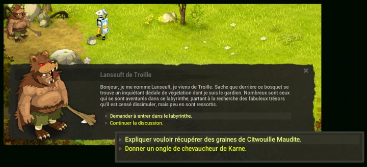 Foret Image: Entrer Foret Malefique Dofus Touch pour Papycha Chemin Village