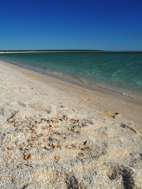 #Shell Beach #Shark Bay #Western #Australia Http://Www.couleurs-Daurore encequiconcerne Couleurs Du Monde Rideaux Frontal Brisbane