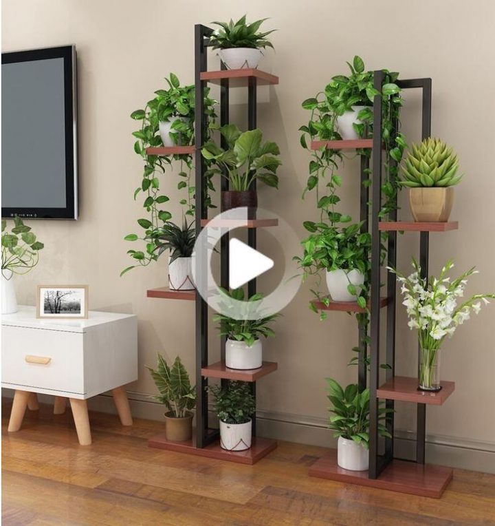 meuble pour plantes d’intérieur