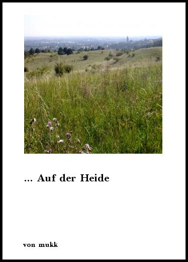 auf der heide 16