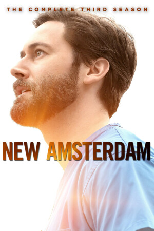 new amsterdam staffel 3 folge 13