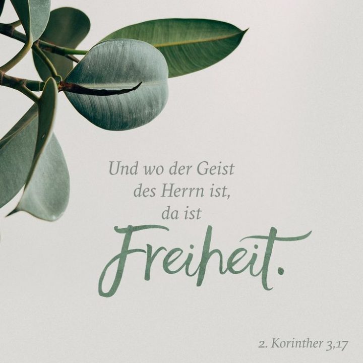 psalm 38 hoffnung für alle