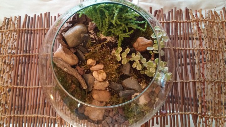 meuble terrarium fait maison