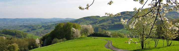 odenwald urlaub mit kindern