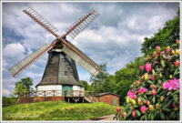 windmühle bilder