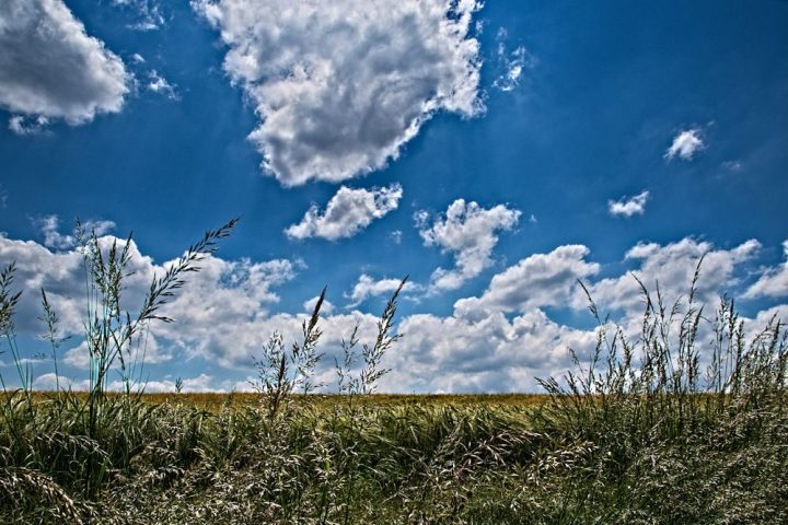 himmel und erde mit birnen