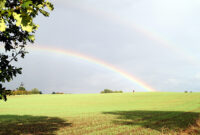 regenbogen bilder zum herunterladen