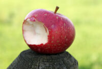 apfel bilder