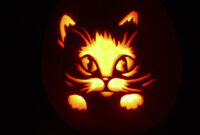 halloween katze bilder