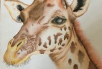 zeichnung giraffe