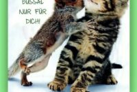 geburtstag lustiges bild