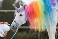 einhorn bilder echt