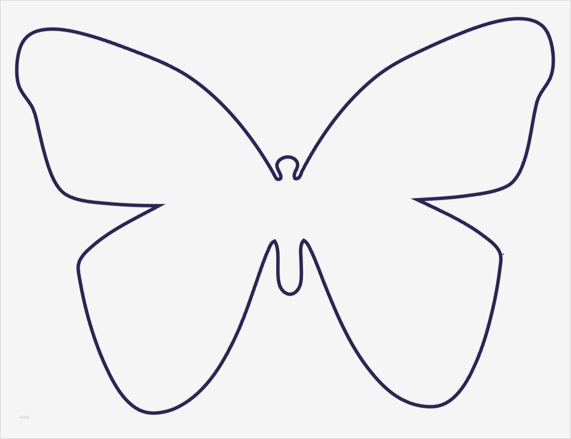 Vorlagen Für Schmetterlinge Zum Basteln Wunderbar Schmetterling Basteln