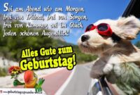 geburtstagsbilder hunde lustig