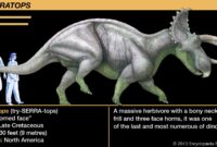 triceratops bild