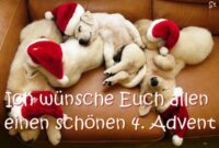 lustige bilder zum 4 advent