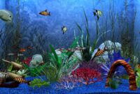 aquarium hintergrundbilder kostenlos