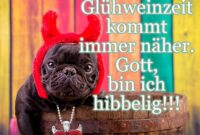 bilder lustig weihnachtszeit