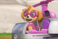 paw patrol skye bilder