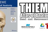 thieme atlas of anatomy head and neuroanatomy