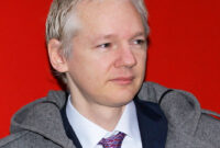 the case of julian assange