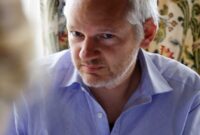 julian assange movie documentary