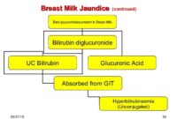 breastfeeding jaundice pathophysiology