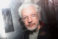 what information did julian assange leak