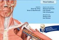 thieme anatomy an essential textbook pdf