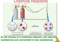 substances that form in a chemical reaction