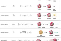 what is involved in a chemical reaction