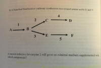 which substance is an enzyme