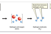 the substances that begin a chemical reaction